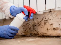 Best Airborne Mold Testing  in Del Aire, CA